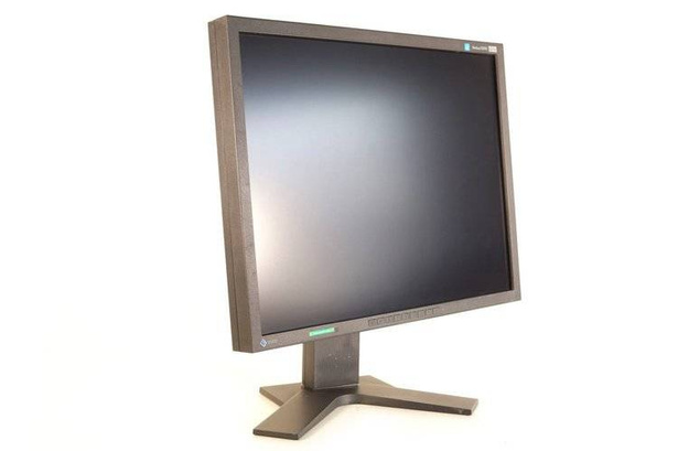 Monitor Eizo S2100 21" PVA 1600x1200 Czarny